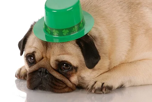 St. Patrick's Day