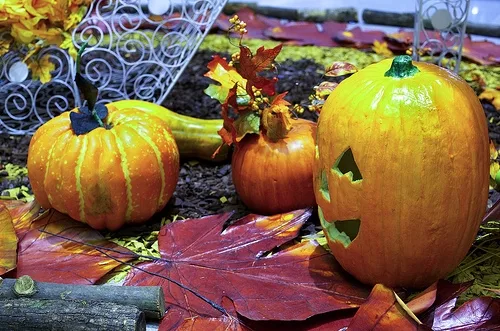 Carved jack-o'-lantern pumpkins with autumn leaves displayed on fall decorative backdrop.